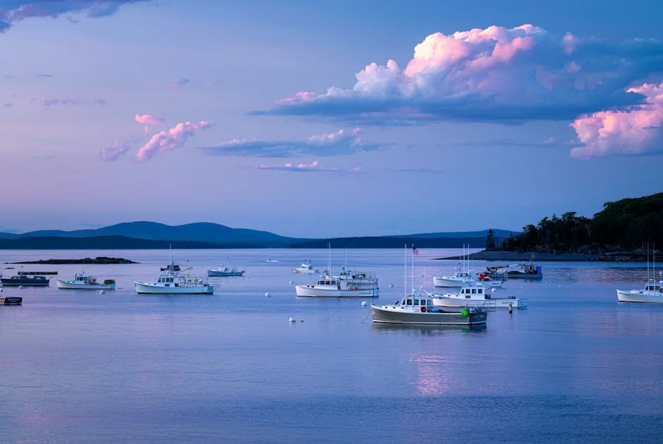 Downtown Bar Harbor neighborhood in Bar Harbor, Maine