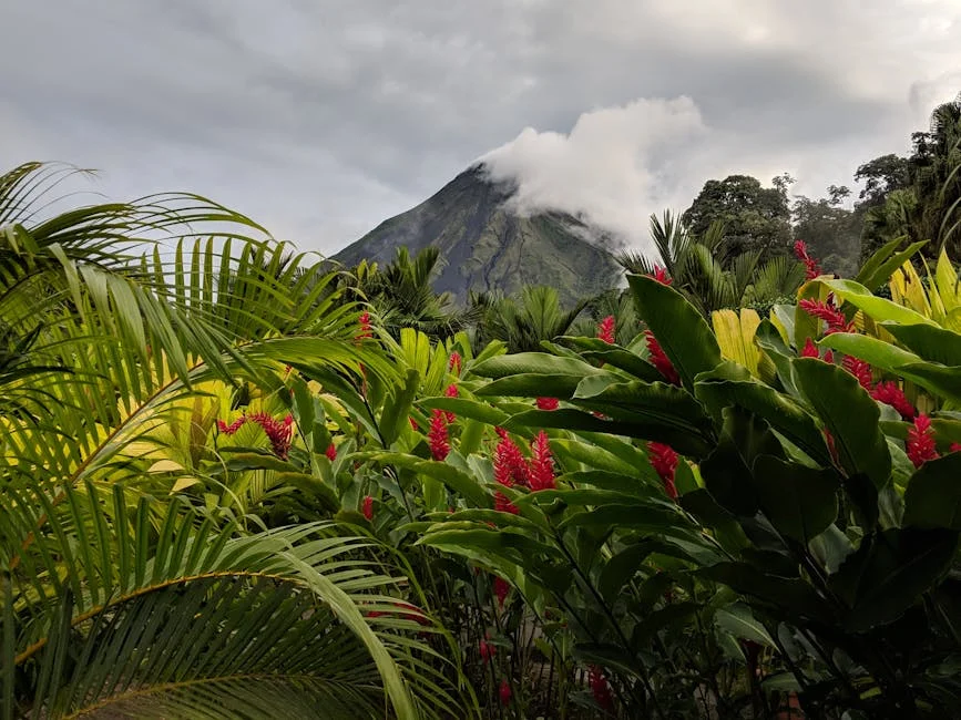 La Fortuna / Arenal neighborhood in Costa Rica