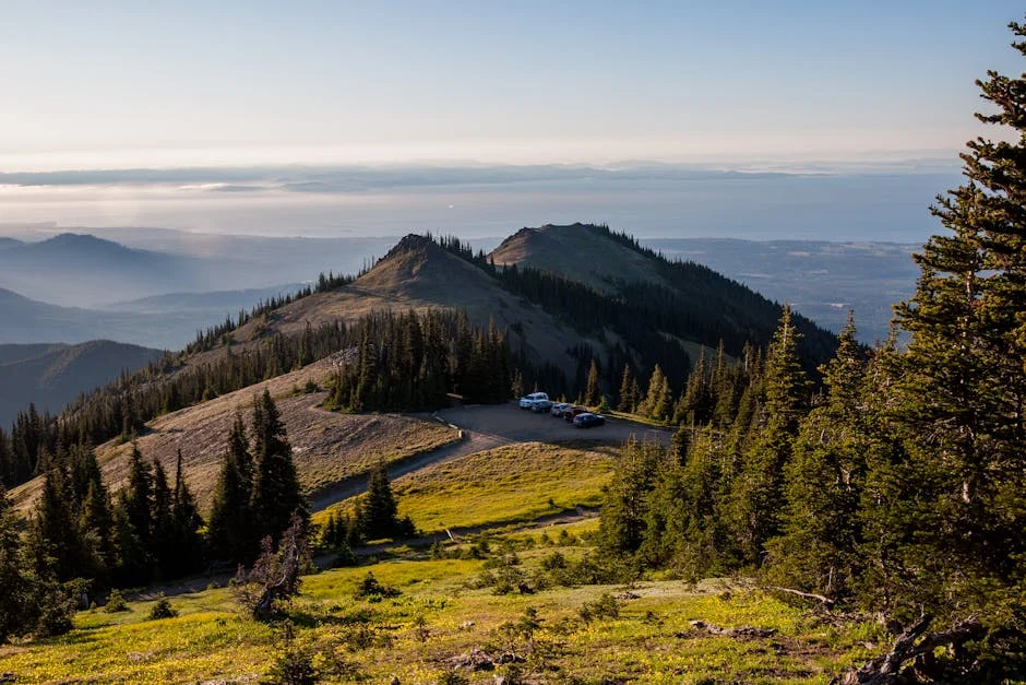 Sequim neighborhood in Olympic National Park