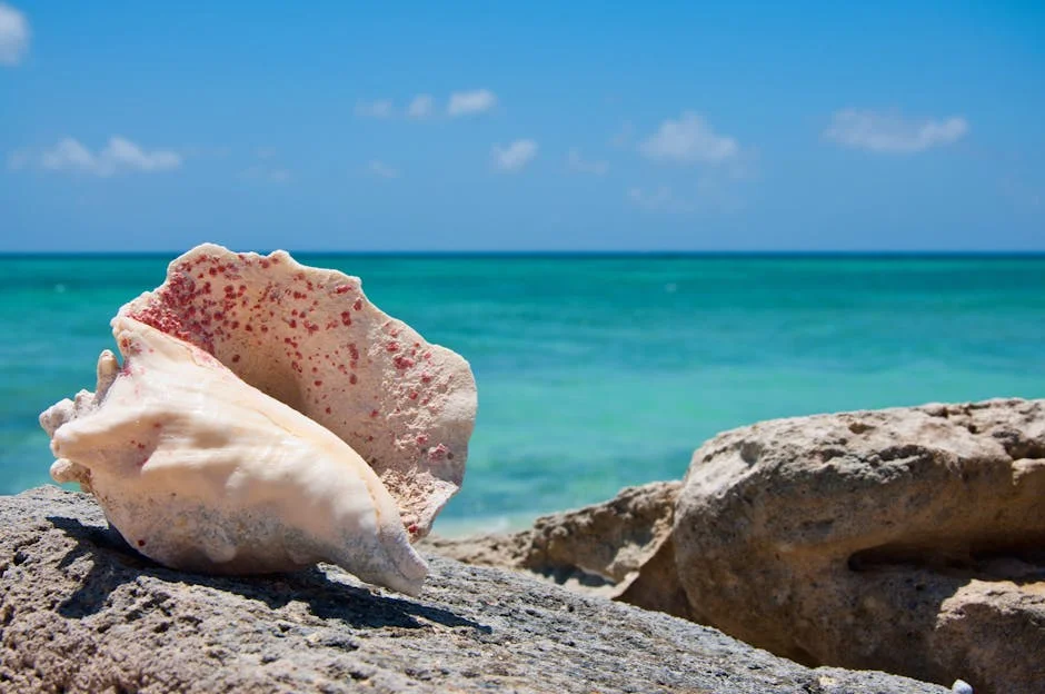 Turtle Cove Marina, Providenciales neighborhood in Turks and Caicos
