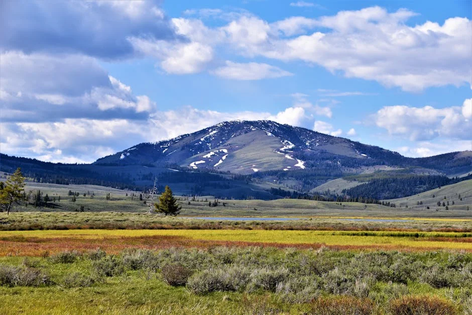 Gardiner, Montana neighborhood in When Visiting Yellowstone and Grand Tetons